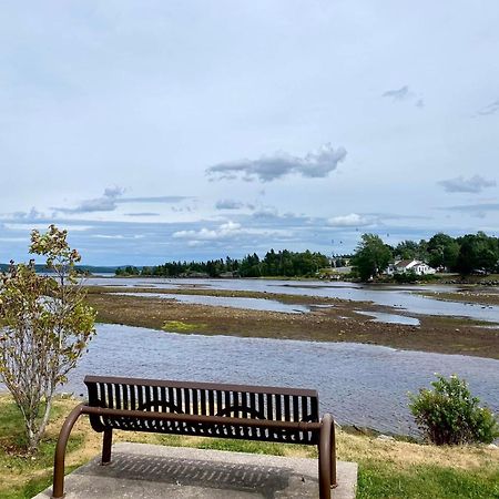 Riverview Suites Clarenville Exteriör bild