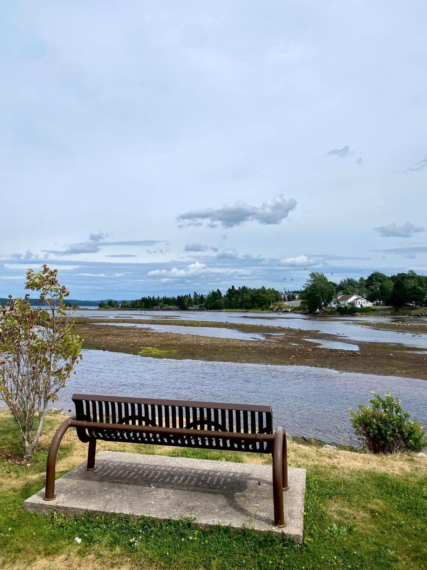 Riverview Suites Clarenville Exteriör bild
